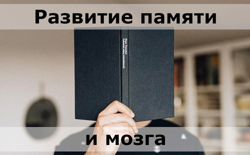 Как улучшить память и работу мозга взрослому человеку.